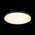Потолочный светильник Loft IT Dime 10371 Black