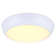 Ландшафтный светодиодный светильник Feron SP2703 32116