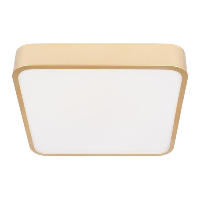 Потолочный светильник Loft IT Flims 10228/C