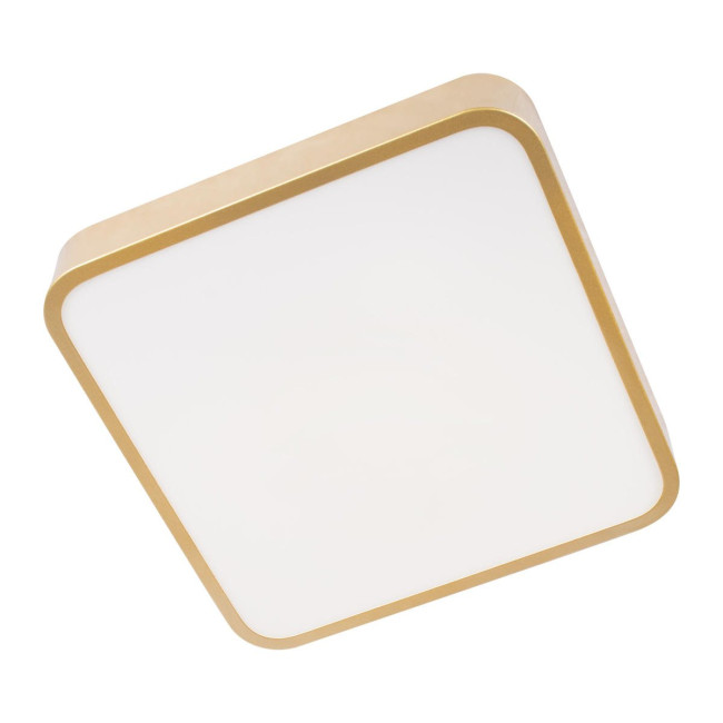 Потолочный светильник Loft IT Flims 10228/C