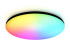Потолочный светильник Ambrella Light Orbital Dance FZ2005 Потолочный светильник Ambrella Light Orbital Dance FZ2005