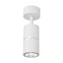 Спот Lampit Asti TS TK40-C1 WT+CHR