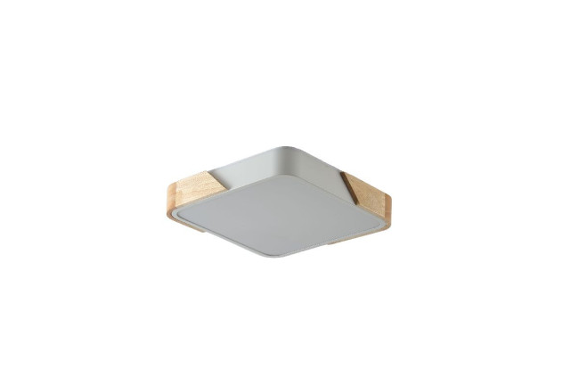 Потолочный светильник Zortes Alberro ZRS.01285.60