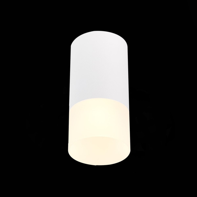 Накладной светильник ST Luce ST100 ST100.512.01