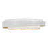 Потолочный светильник Evoluce Crosby SLE6009-502-01