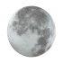 Настенно-потолочный светильник Sonex Pale Moon 3084/CLN Настенно-потолочный светильник Sonex Pale Moon 3084/CLN