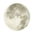 Настенно-потолочный светильник Sonex Pale Moon 3084/CLN Настенно-потолочный светильник Sonex Pale Moon 3084/CLN