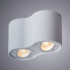Потолочный светильник Arte Lamp Falcon A5645PL-2WH Потолочный светильник Arte Lamp Falcon A5645PL-2WH