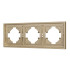 Рамка пластиковая на 3 поста Arlight FRM-TENDO-SFPL-3-GD 054651 Рамка пластиковая на 3 поста Arlight FRM-TENDO-SFPL-3-GD 054651