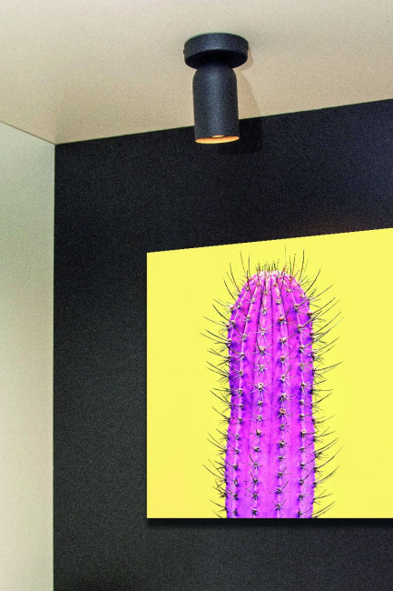 Спот Lucide Punch 13958/01/30 Спот Lucide Punch 13958/01/30