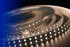 Светодиодная лента DesignLed DSG5120-24-WW-33 000523 Светодиодная лента DesignLed DSG5120-24-WW-33 000523
