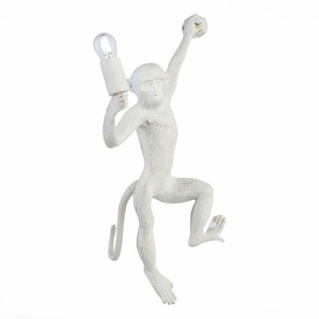 Бра Evoluce Tenato SLE115111-01 Бра Evoluce Tenato SLE115111-01