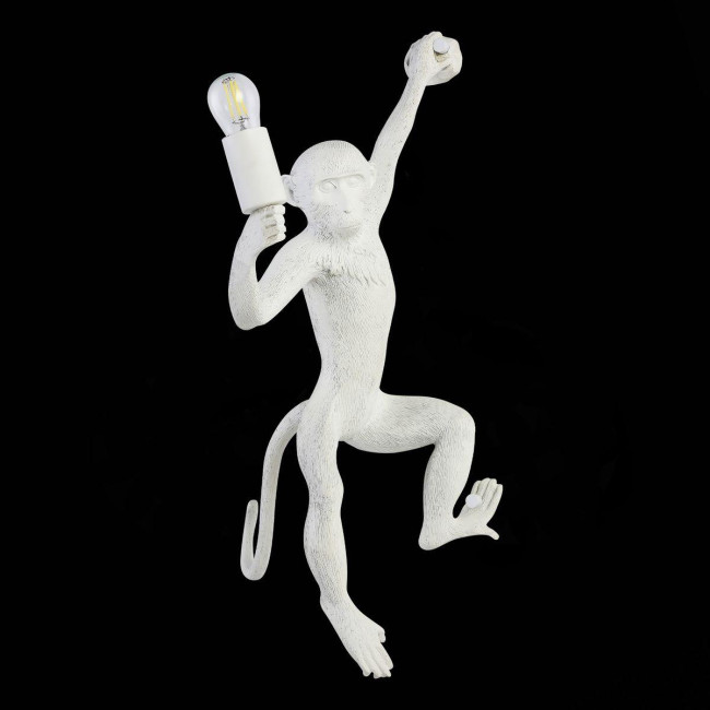 Бра Evoluce Tenato SLE115111-01 Бра Evoluce Tenato SLE115111-01