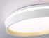 Потолочный светильник Ambrella Light Orbital Dance FZ601 Потолочный светильник Ambrella Light Orbital Dance FZ601