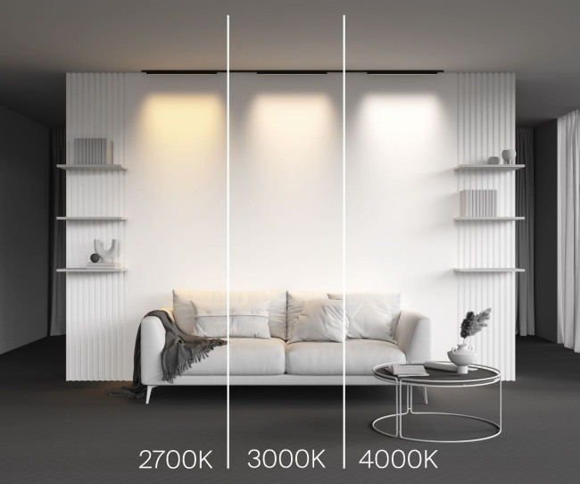 Трековый магнитный светильник Maytoni Basis TR192-1-16W3K-B