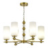 Подвесная люстра ST Luce Aurora SL2003.303.06