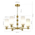Подвесная люстра ST Luce Aurora SL2003.303.06