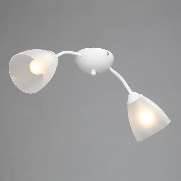 Потолочная люстра Vitaluce V3737-0/2PL Потолочная люстра Vitaluce V3737-0/2PL