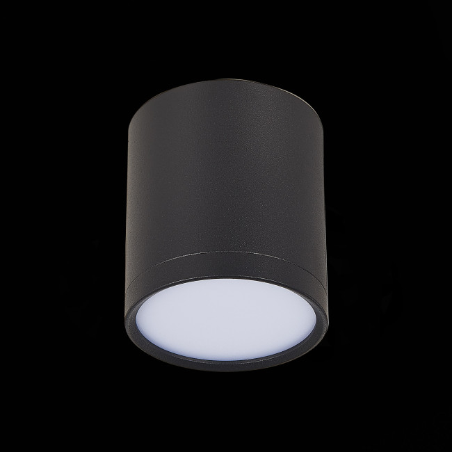 Потолочный светильник ST Luce Rene ST113.432.05 Потолочный светильник ST Luce Rene ST113.432.05