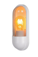 Уличный настенный светильник Lucide Capsule 29897/01/31 Уличный настенный светильник Lucide Capsule 29897/01/31