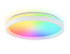 Потолочный светильник Ambrella Light Orbital Dance FZ607 Потолочный светильник Ambrella Light Orbital Dance FZ607