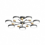Люстра на штанге LED4U L3205-800 GR