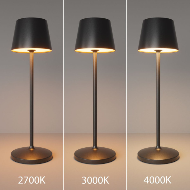 Настольная лампа с аккумулятором Maytoni Nook MOD494RL-L1BK