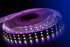 Светодиодная лента DesignLed DSG5120-24-RGB+NW-33 001205 Светодиодная лента DesignLed DSG5120-24-RGB+NW-33 001205