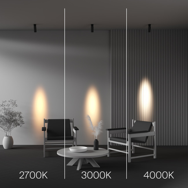 Спот Maytoni Technical Focus Led C055CL-L12W4K-SS-B Спот Maytoni Technical Focus Led C055CL-L12W4K-SS-B