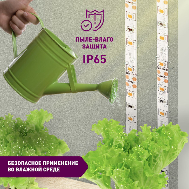 Светодиодная лента для растений Эра 18Вт 1400K 2м IP65 FITO-Strip Light-RB-2m красно-синего спектра Б0057282