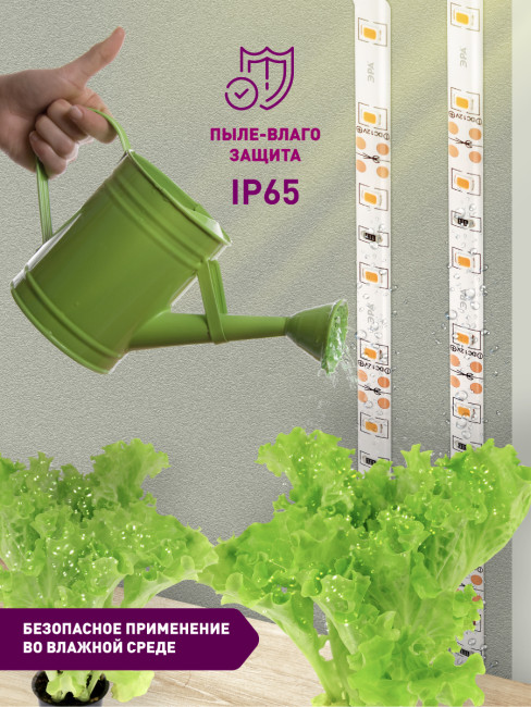 Светодиодная лента для растений Эра 18Вт 1400K 2м IP65 FITO-Strip Light-RB-2m красно-синего спектра Б0057282