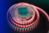 Светодиодная лента DesignLed DSG5120-24-RGB+W-33 000514 Светодиодная лента DesignLed DSG5120-24-RGB+W-33 000514