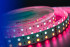 Светодиодная лента DesignLed DSG5120-24-RGB+W-33 000514 Светодиодная лента DesignLed DSG5120-24-RGB+W-33 000514