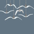 Подвесной светильник ImperiumLoft Brokis Night Birds 106344-22 Подвесной светильник ImperiumLoft Brokis Night Birds 106344-22