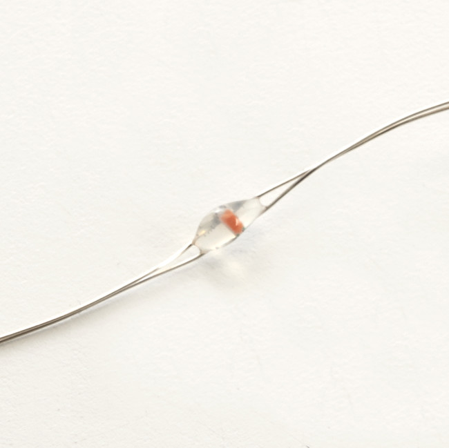 Светодиодная гирлянда линейная Роса Feron CL570 48602