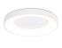 Потолочный светильник Ambrella Light Orbital Design FZ1401 Потолочный светильник Ambrella Light Orbital Design FZ1401
