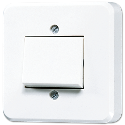 Переключатель одноклавишный Jung 306A-24 Переключатель одноклавишный Jung 306A-24