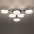 Потолочная люстра Lumion Didana 8236/6CL Потолочная люстра Lumion Didana 8236/6CL