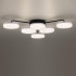 Потолочная люстра Lumion Didana 8236/6CL Потолочная люстра Lumion Didana 8236/6CL