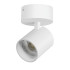 Накладной светильник Lightstar Alta Base A5446SO Накладной светильник Lightstar Alta Base A5446SO