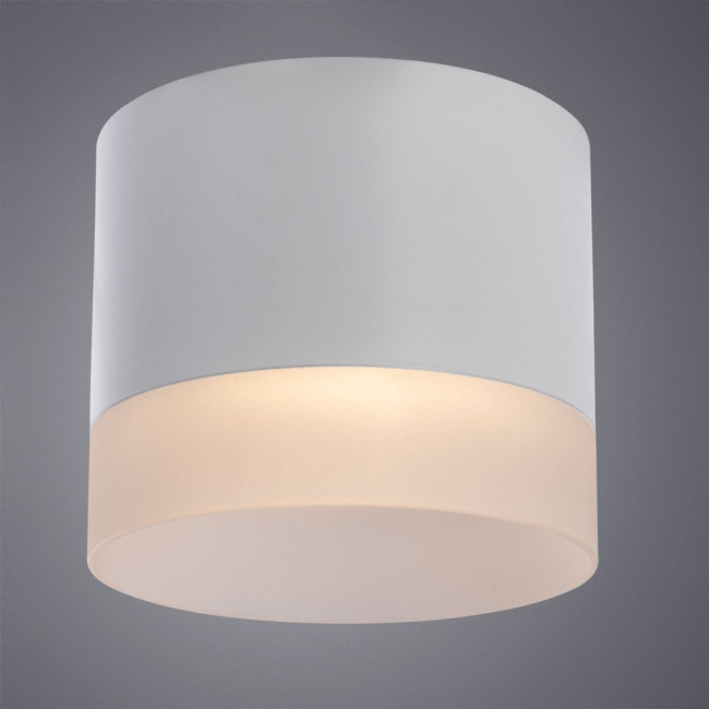 Потолочный светильник Arte Lamp Castor A5554PL-1WH Потолочный светильник Arte Lamp Castor A5554PL-1WH