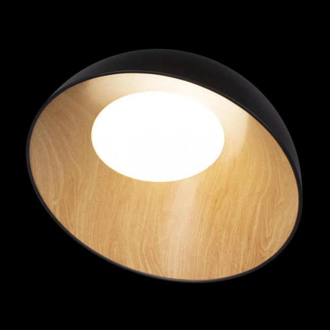 Потолочный светильник Loft IT Egg 10197/500 Black Потолочный светильник Loft IT Egg 10197/500 Black