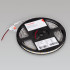 Светодиодная герметичная лента Arlight RTW-SE-B60-10mm 24V Day4000 (14.4 W/m, IP65, 5m) 015455(3)