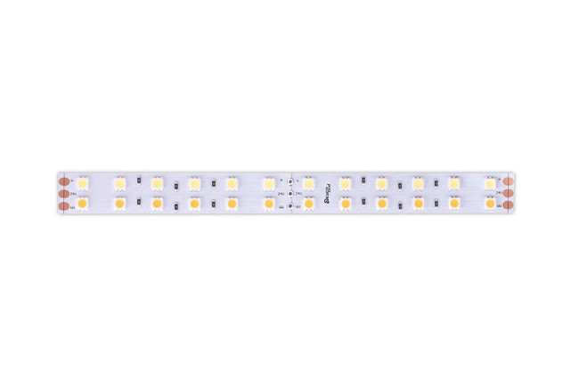 Светодиодная лента DesignLed DSG5120-24-RGB+WW-33 001134 Светодиодная лента DesignLed DSG5120-24-RGB+WW-33 001134