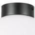 Потолочный светильник Lightstar Globo 812117 Потолочный светильник Lightstar Globo 812117