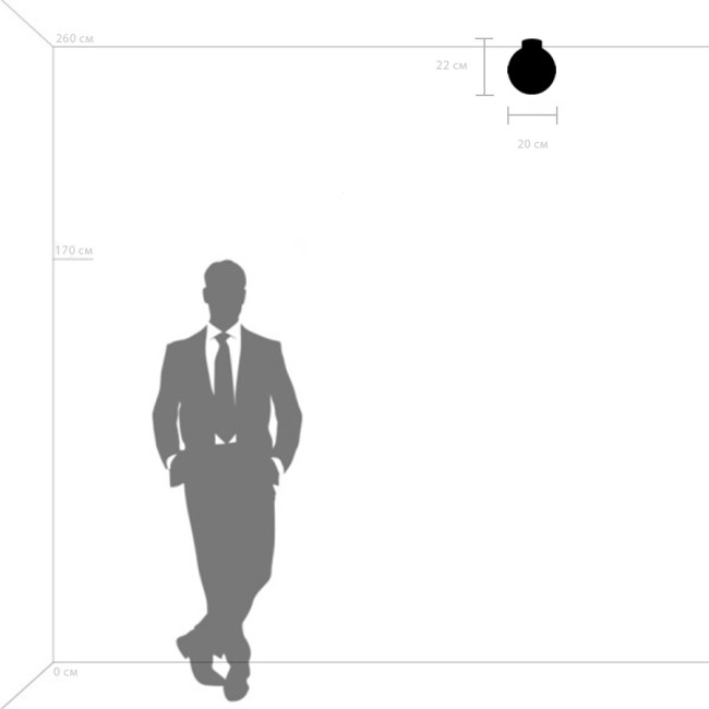 Потолочный светильник Lightstar Globo 812117 Потолочный светильник Lightstar Globo 812117