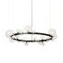 Подвесной светильник Delight Collection Art Deco Bubble 8828P/L black/clear Подвесной светильник Delight Collection Art Deco Bubble 8828P/L black/clear