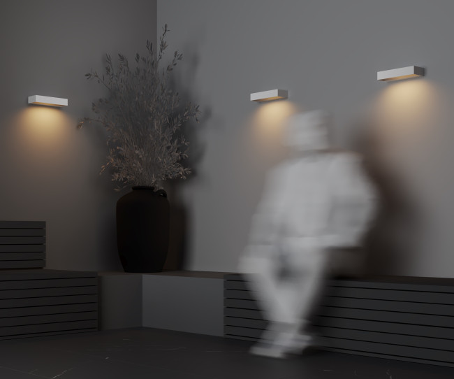 Уличный настенный светильник Maytoni Lot O428WL-L10W3K