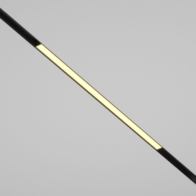 Трековый магнитный светильник Maytoni Basis TR030-2-24W2.7K-B