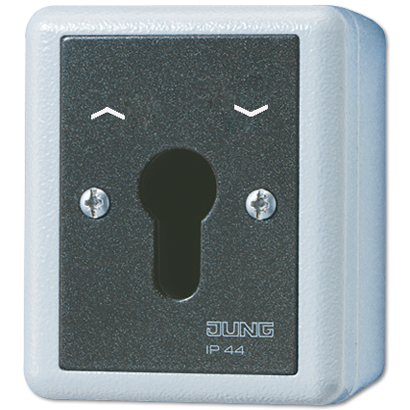 Выключатель для замочного механизма Jung 834.28GEINS Выключатель для замочного механизма Jung 834.28GEINS